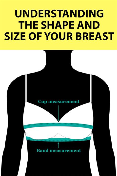 boobs side|Breast Shape Dictionary – Finding Your Breast Shape & Type – .